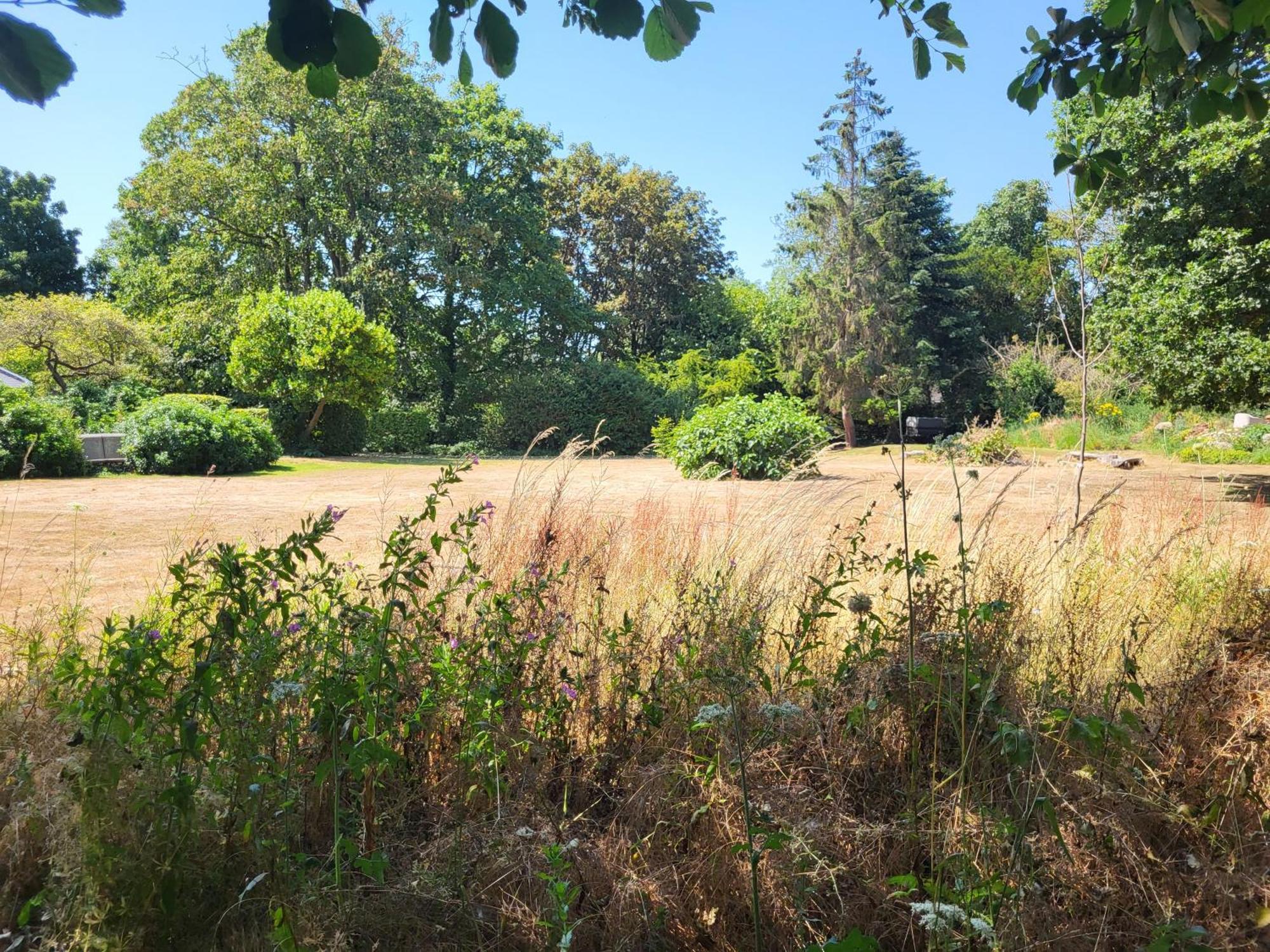 Unique & Rural Child Friendly Annexe With Large Gardens, Games & Tennis Court - Chichester Holiday Properties المظهر الخارجي الصورة
