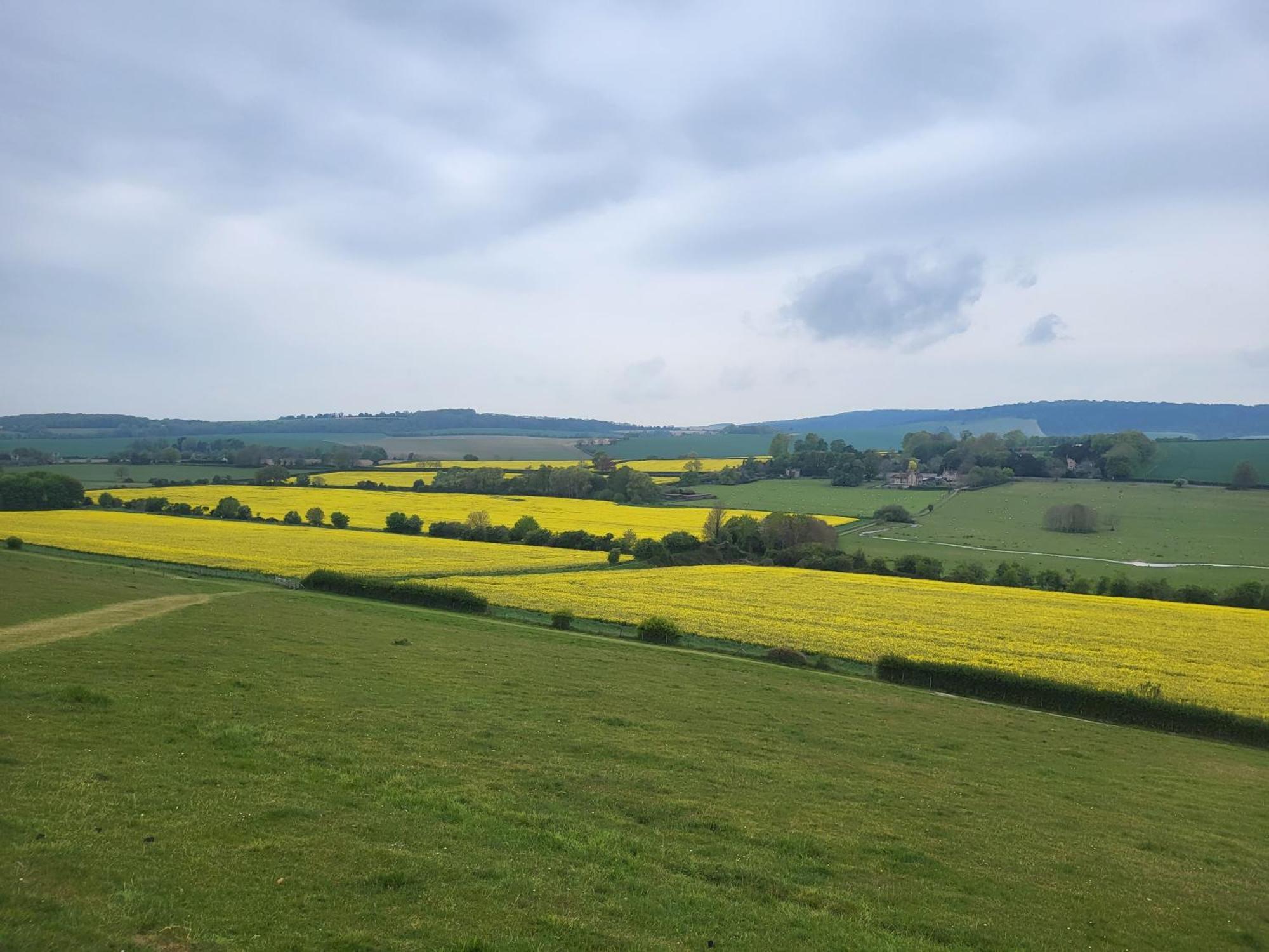 Unique & Rural Child Friendly Annexe With Large Gardens, Games & Tennis Court - Chichester Holiday Properties المظهر الخارجي الصورة