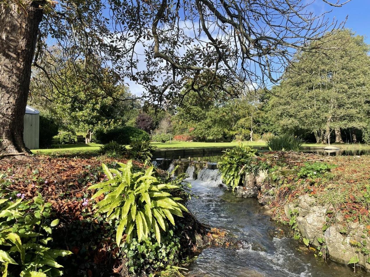 Unique & Rural Child Friendly Annexe With Large Gardens, Games & Tennis Court - Chichester Holiday Properties المظهر الخارجي الصورة