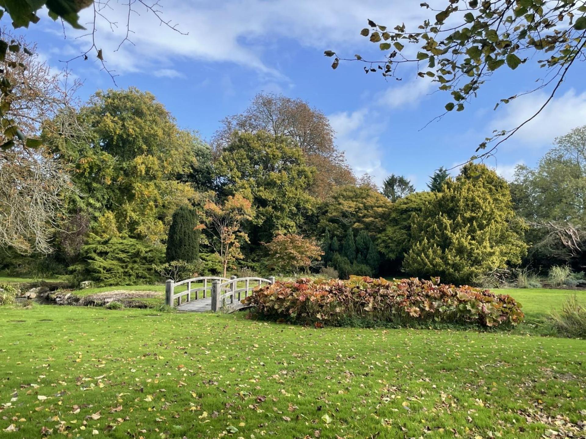 Unique & Rural Child Friendly Annexe With Large Gardens, Games & Tennis Court - Chichester Holiday Properties المظهر الخارجي الصورة