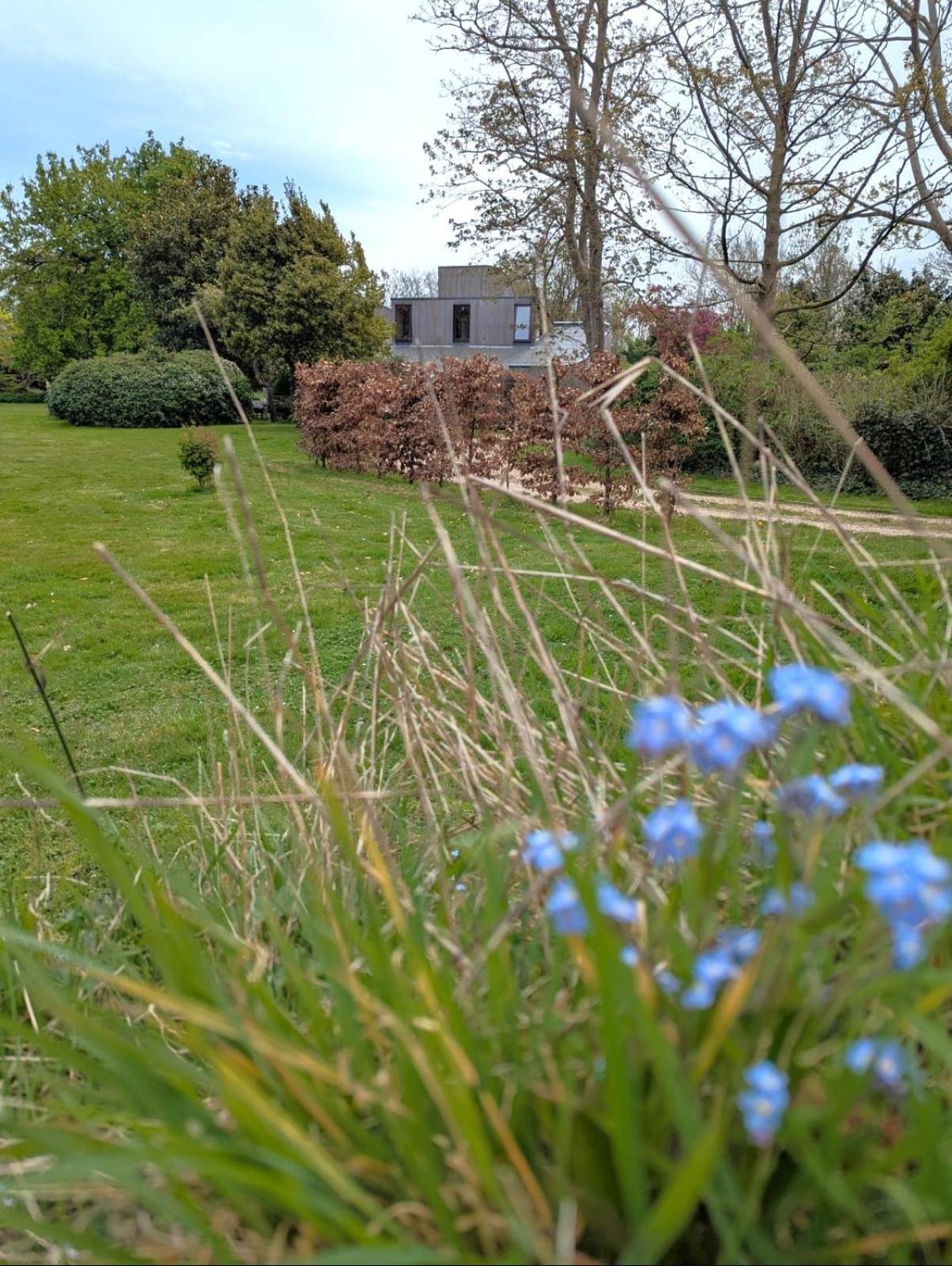 Unique & Rural Child Friendly Annexe With Large Gardens, Games & Tennis Court - Chichester Holiday Properties المظهر الخارجي الصورة